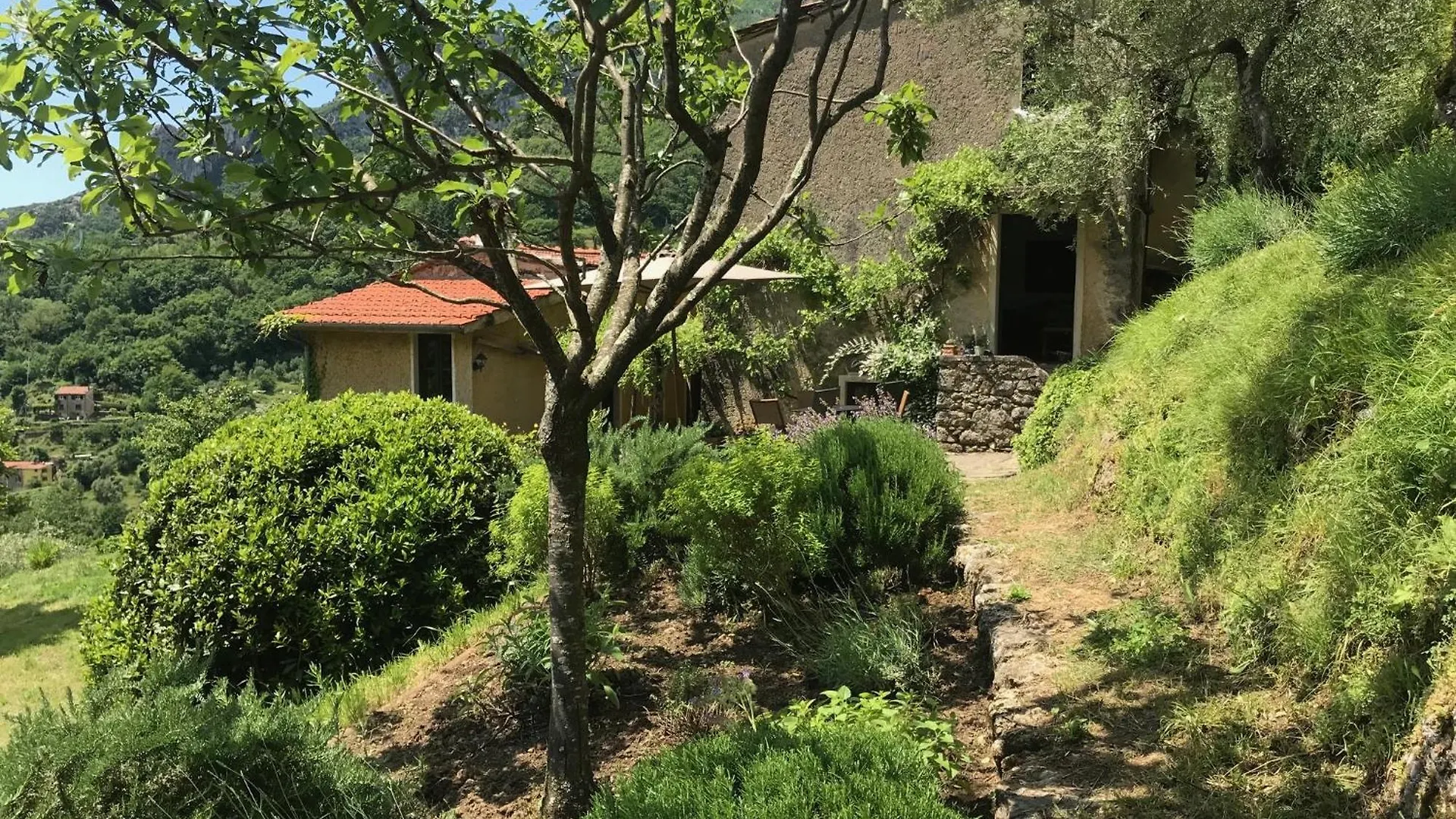 The Simple Life - Farmstead Above The Sea Villa Casoli  Italy